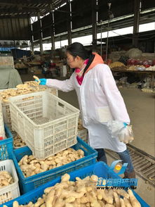 積極引導誠信經營 通農物流讓市民放心消費